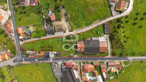 Santarém