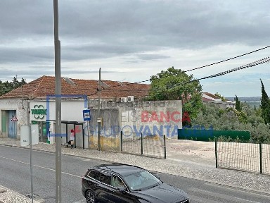 Santarém