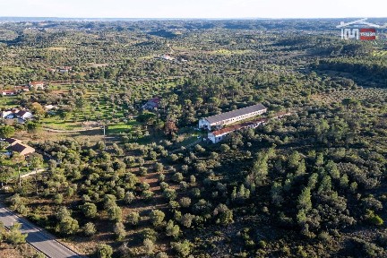 Torres Novas, Santarém