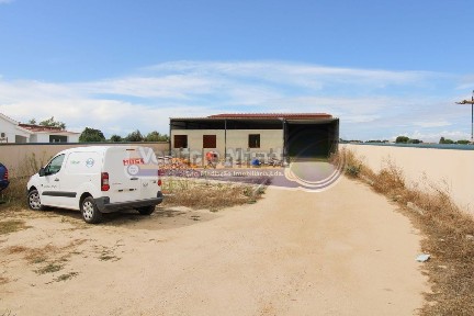 Salvaterra de Magos, Santarém
