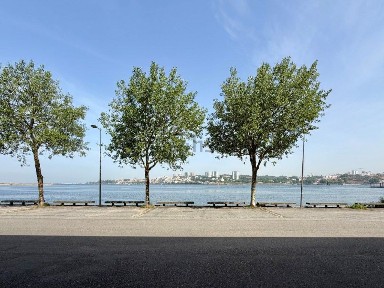 Canidelo, Sampaio-Alumiara-Verdinho, Avenida Afonso de Albuquerque