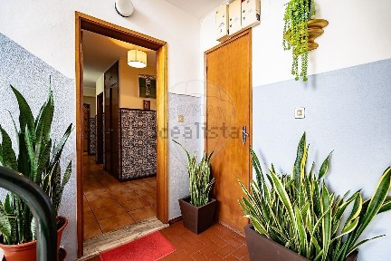 Apartamento T3 à venda em São Silvestre