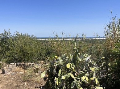 Tavira, Faro
