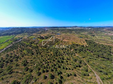 Quinta à venda em Santana, São Bartolomeu de Messines