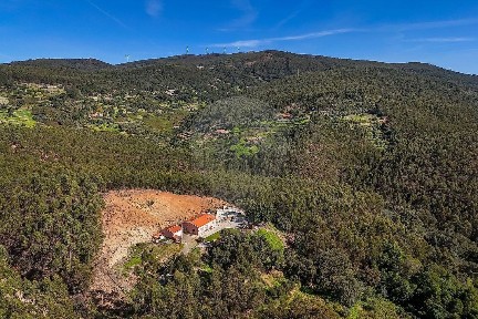 Monchique, N266-3