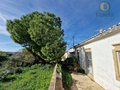 Faro