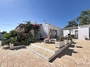 Quinta à venda em Pechão