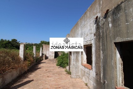 Luz
