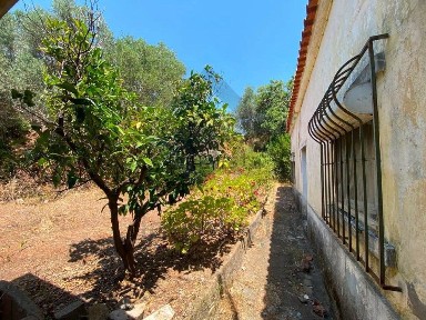 São Brás de Alportel, Centro, Rua do Matadouro, 7