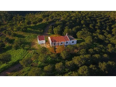 Moradia independente à venda na Junqueira - Beliche