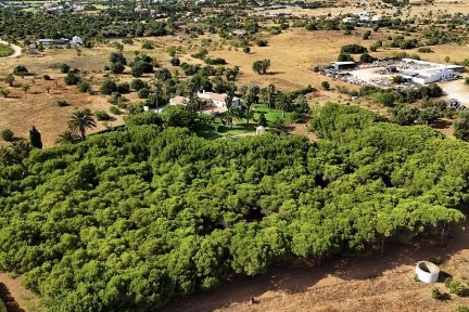 Lagoa e Carvoeiro, Salicos - Sesmarias - Boavista, Bemparece