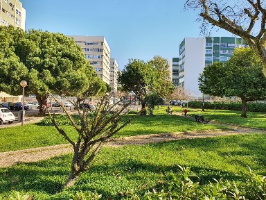 Arrendamento de apartamento T2 na Rua Doutor Manuel de Arriaga, 5