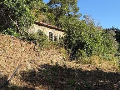Monchique, Barranco dos Pisões s/n