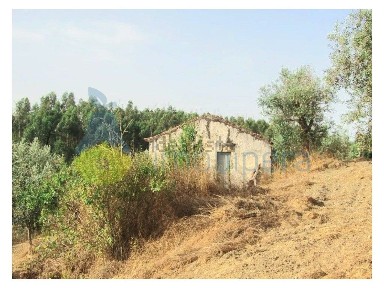 Herdade à venda em Marmelete