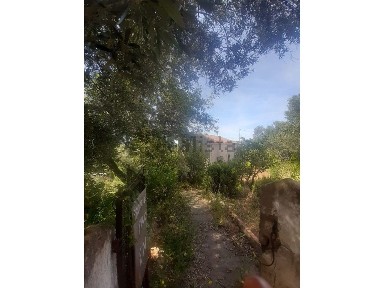 São Brás de Alportel