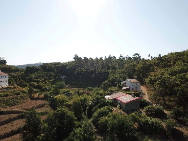 Monchique, N267
