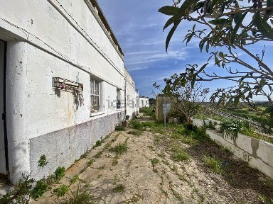 Olhão, Faro