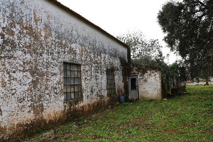 São Brás de Alportel, Campina - Mesquita, Alportel