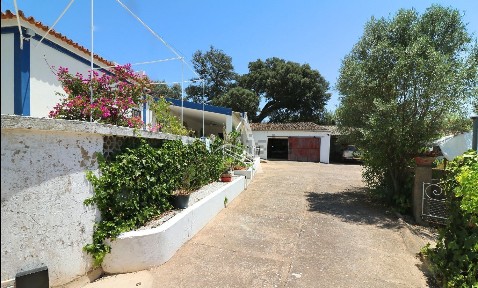 São Brás de Alportel, Campina - Mesquita, Tareja s/n