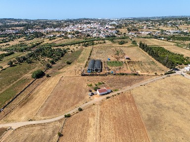Lagos, Faro