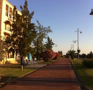 Arrendamento de apartamento T3 na Rua das Cássias