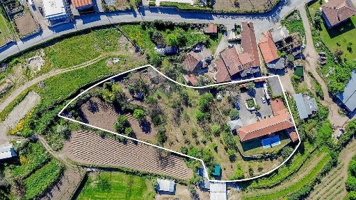 Arrendamento de quinta em Vale (São Cosme) - Telhado - Portela