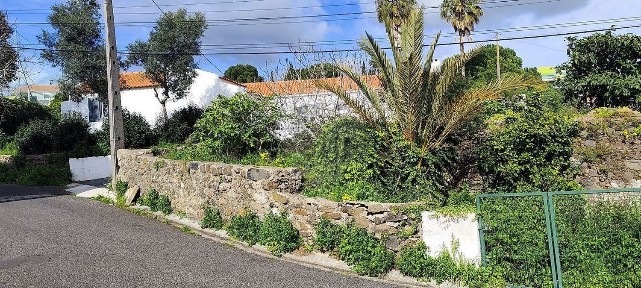 Loures, Palhais - Murteira, Rua Dario Cannas