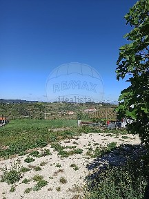 Azueira e Sobral da Abelheira, Estrada do Casal Penedo
