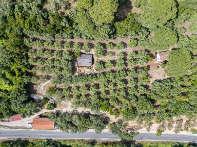 Armazém à venda na Estrada Militar