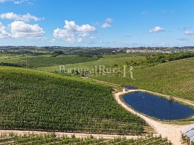 Herdade à venda na Rua Boaventura Duarte