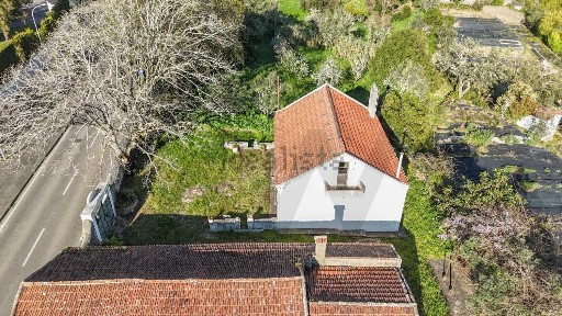 Almargem do Bispo, Rua General Barnabé António Ferreira