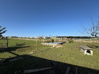 Armazém com rentabilidade à venda em São João das Lampas
