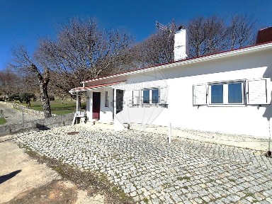 Castro Daire, Avenida Doutor Francisco Sá Carneiro