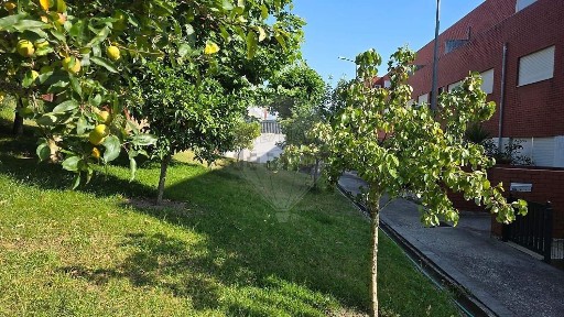 Apartamento T3 à venda em Giela