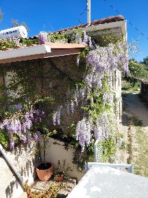 Quinta à venda em Santa Leocádia e Mesquinhata