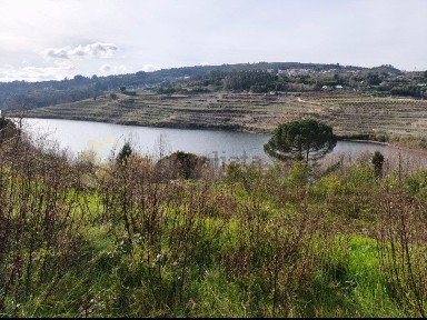 Quinta à venda em Bem Viver