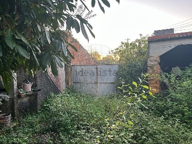Bustos - Troviscal - Mamarrosa, Rua Jaime Pato