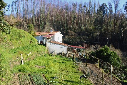 Moradia independente à venda em Cedrim