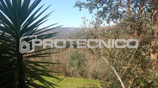 Moradia independente à venda em Préstimo e Macieira de Alcoba