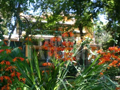 Quinta à venda na Calçada Pinheiro, 75