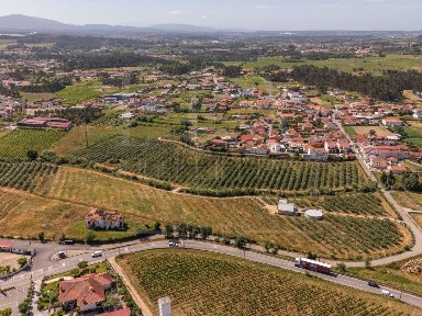 Quinta à venda na Estrada Principal