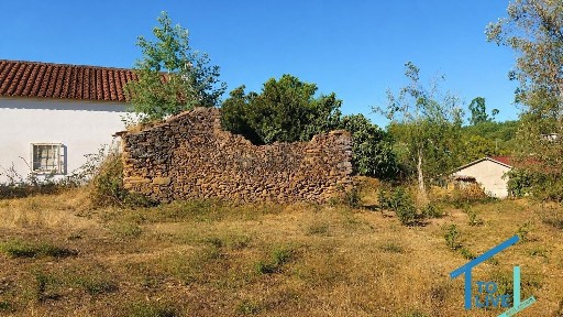 Tomar, Santarém