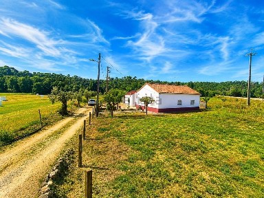 Moradia independente à venda em Paialvo