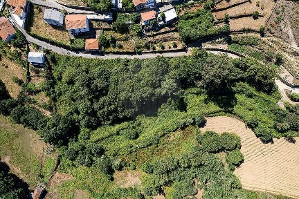 Quinta à venda em Alvarenga