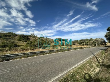Santarém
