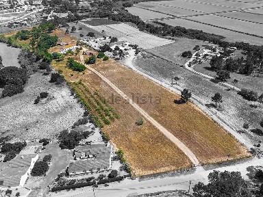 Salvaterra de Magos, N114-3