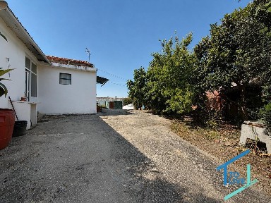 Santarém