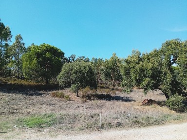 Coruche, Santarém