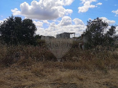 Almeirim, Santarém