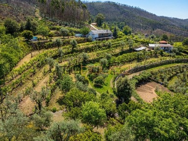Quinta à venda em Real